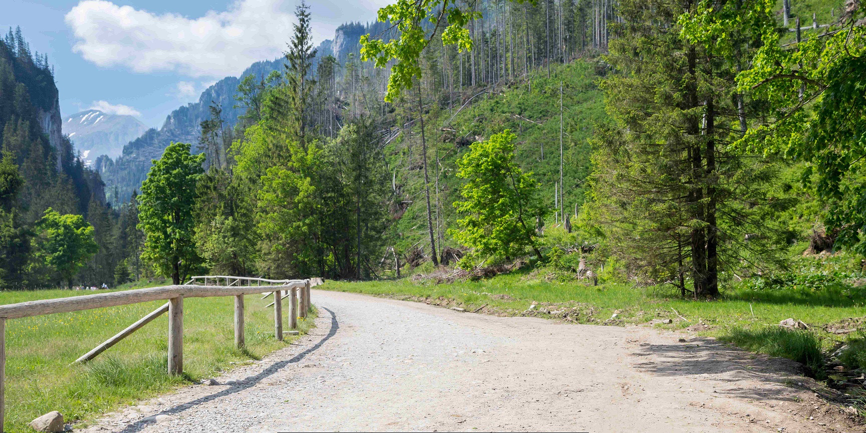 Hiking trail in Kościelisko