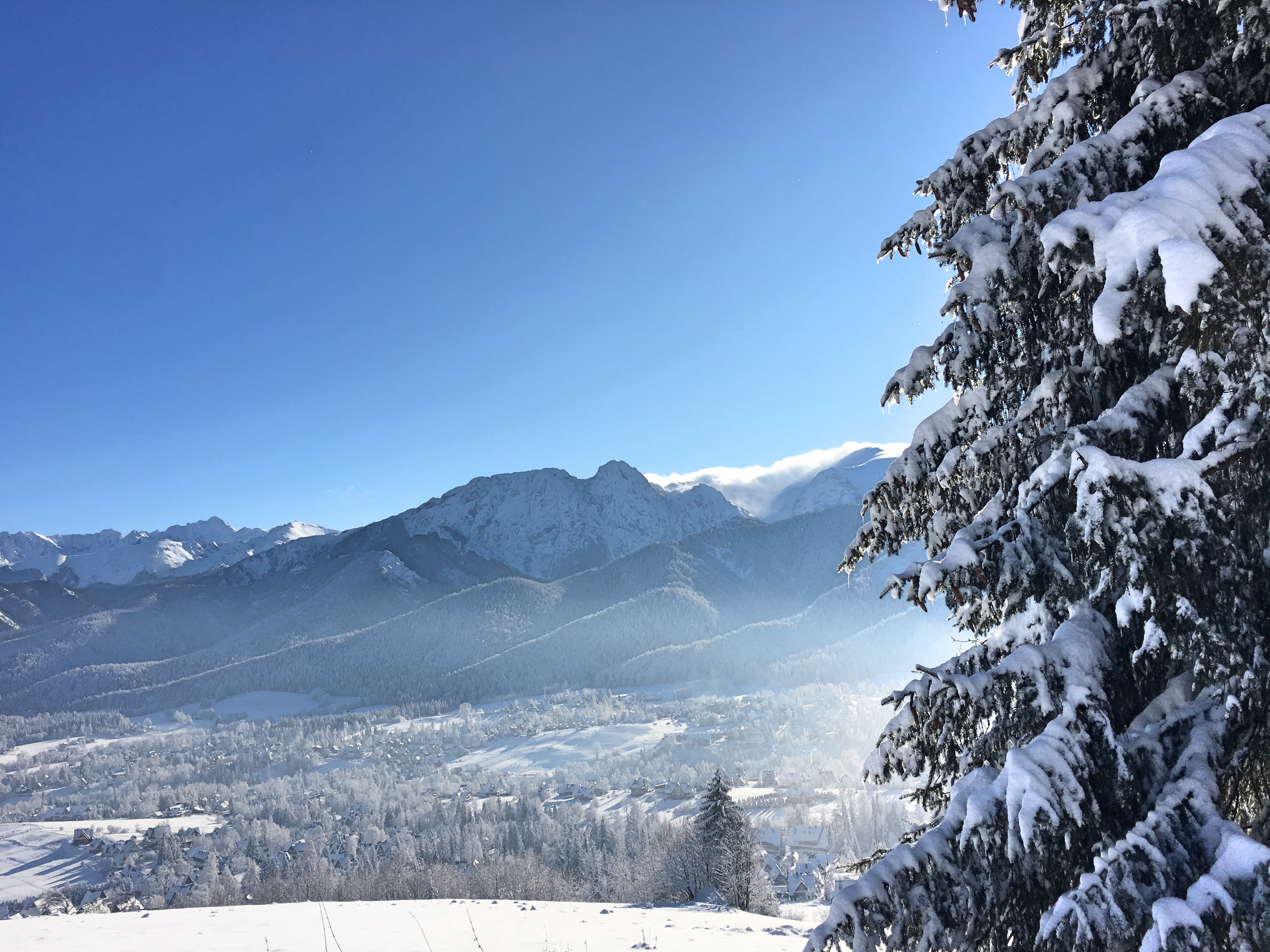 Tatra Mountains seen from Gubałówka
